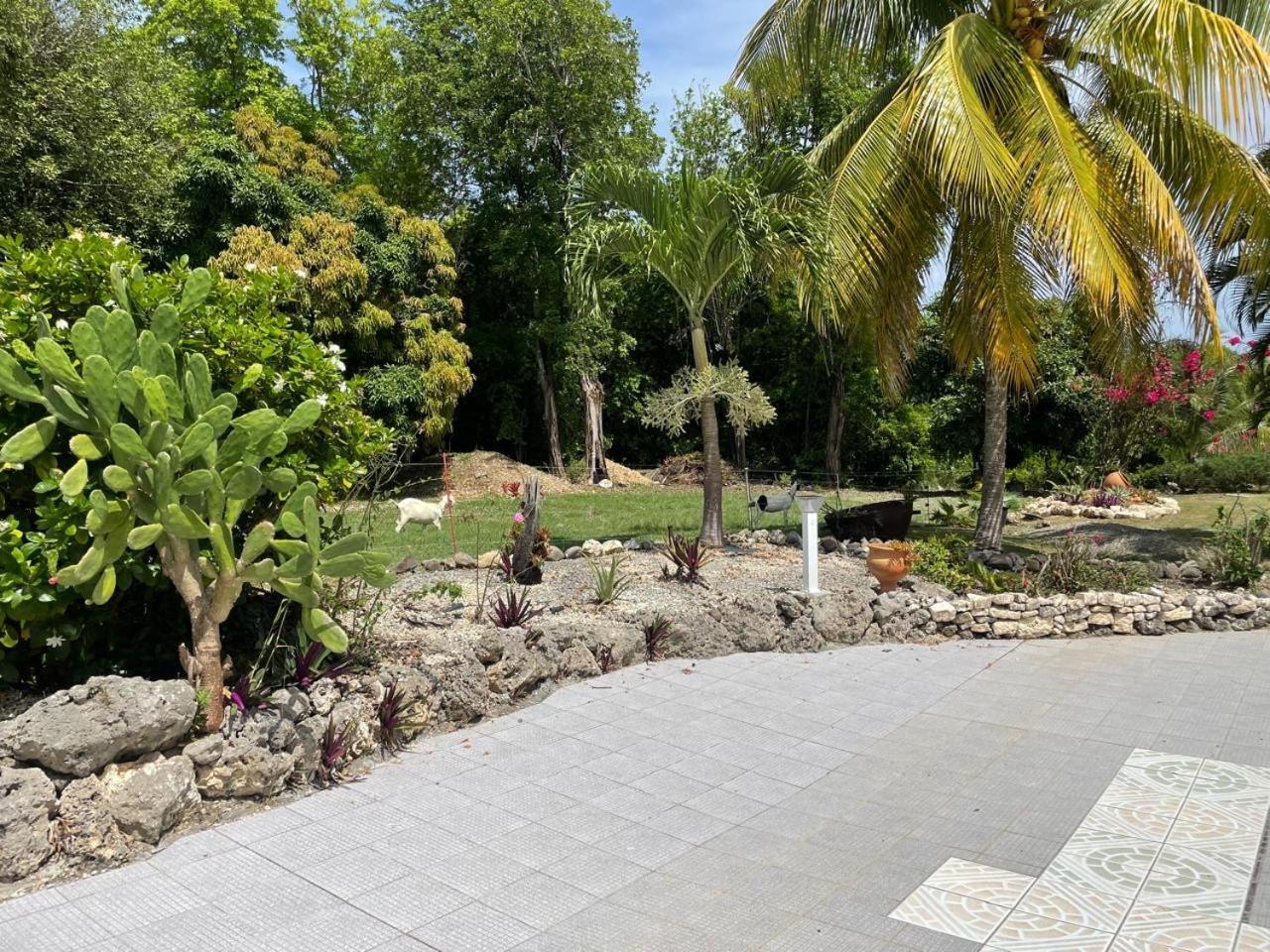 L'Aseta Paradise Grand-Bourg  Exterior photo