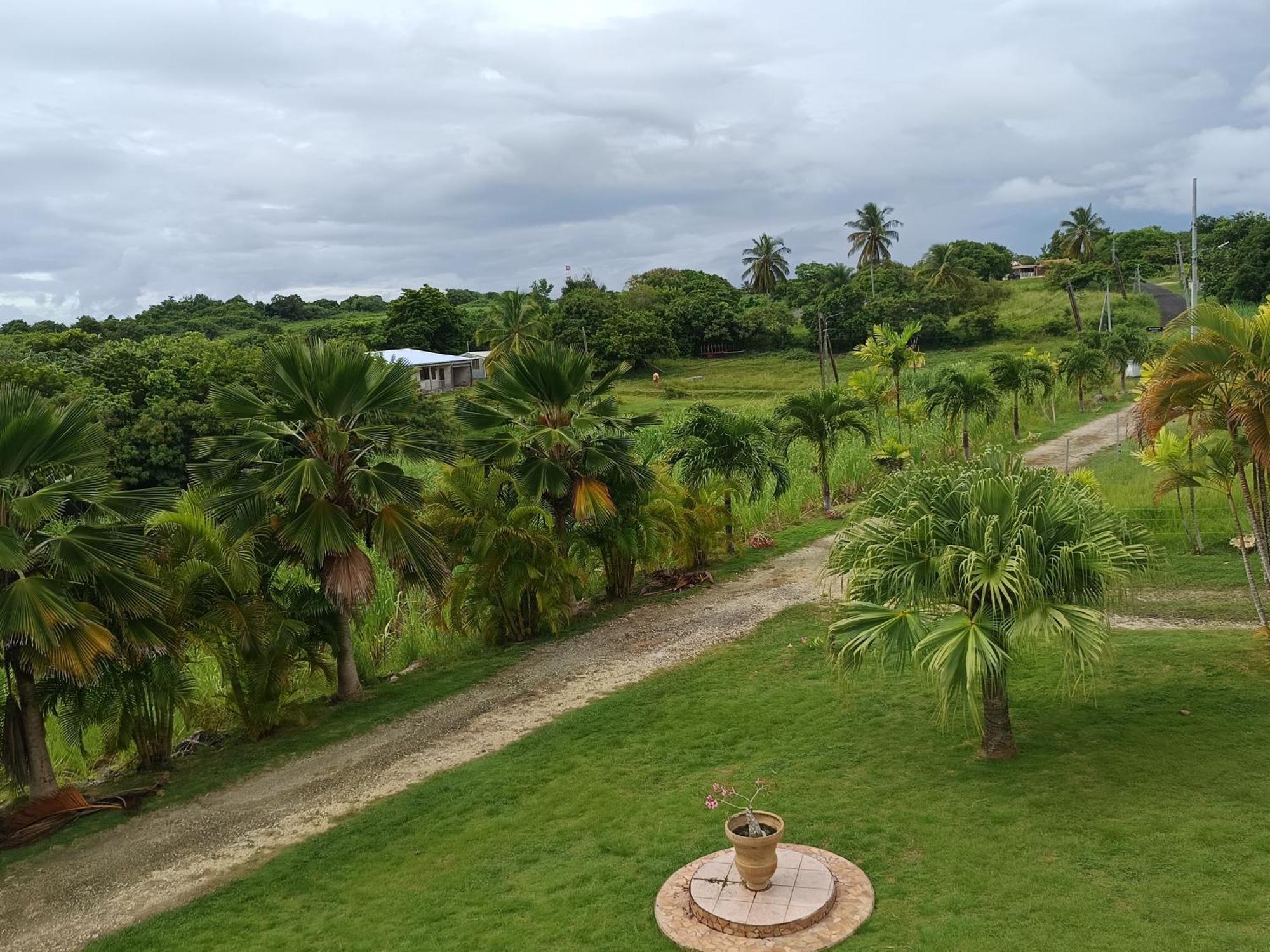 L'Aseta Paradise Grand-Bourg  Exterior photo