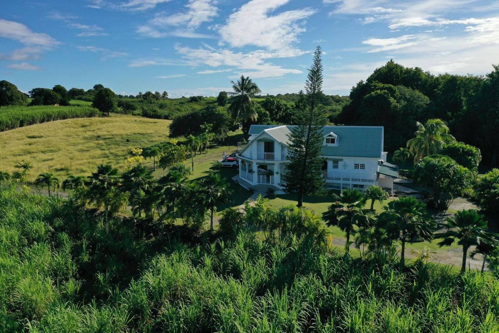 L'Aseta Paradise Grand-Bourg  Exterior photo